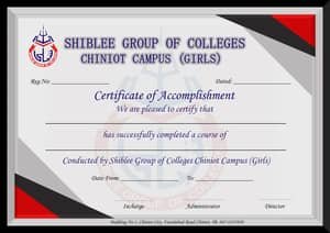 shibleegroupofcolleges_certificate-min